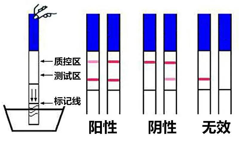 移植胚胎五大“常见”问题,打消你的疑虑