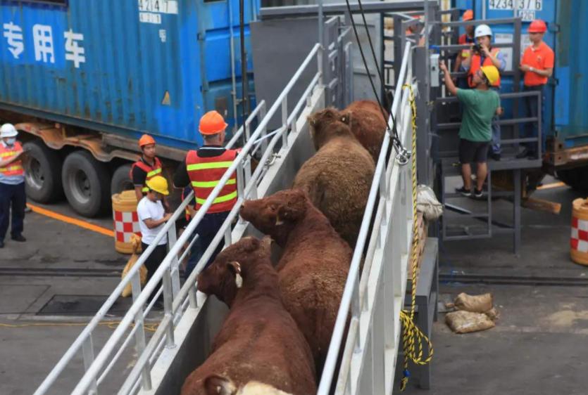 澳大利亚回应中国限制进口事件,中国对澳大利亚实施进口禁令了吗