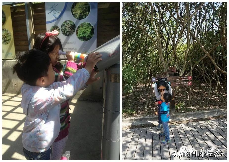 去香港亲子旅行攻略路线图片,香港亲子游最佳路线图