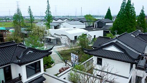 中建东孚投资有限公司,中建东孚金胶力作