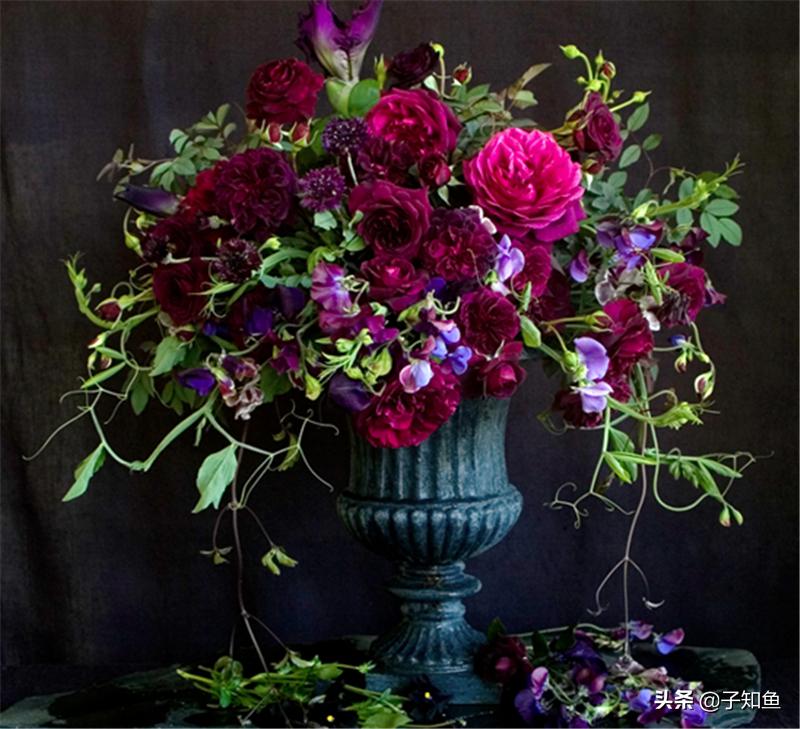 在爱情之中踏实稳重的摩羯座，为什么忽冷忽热？