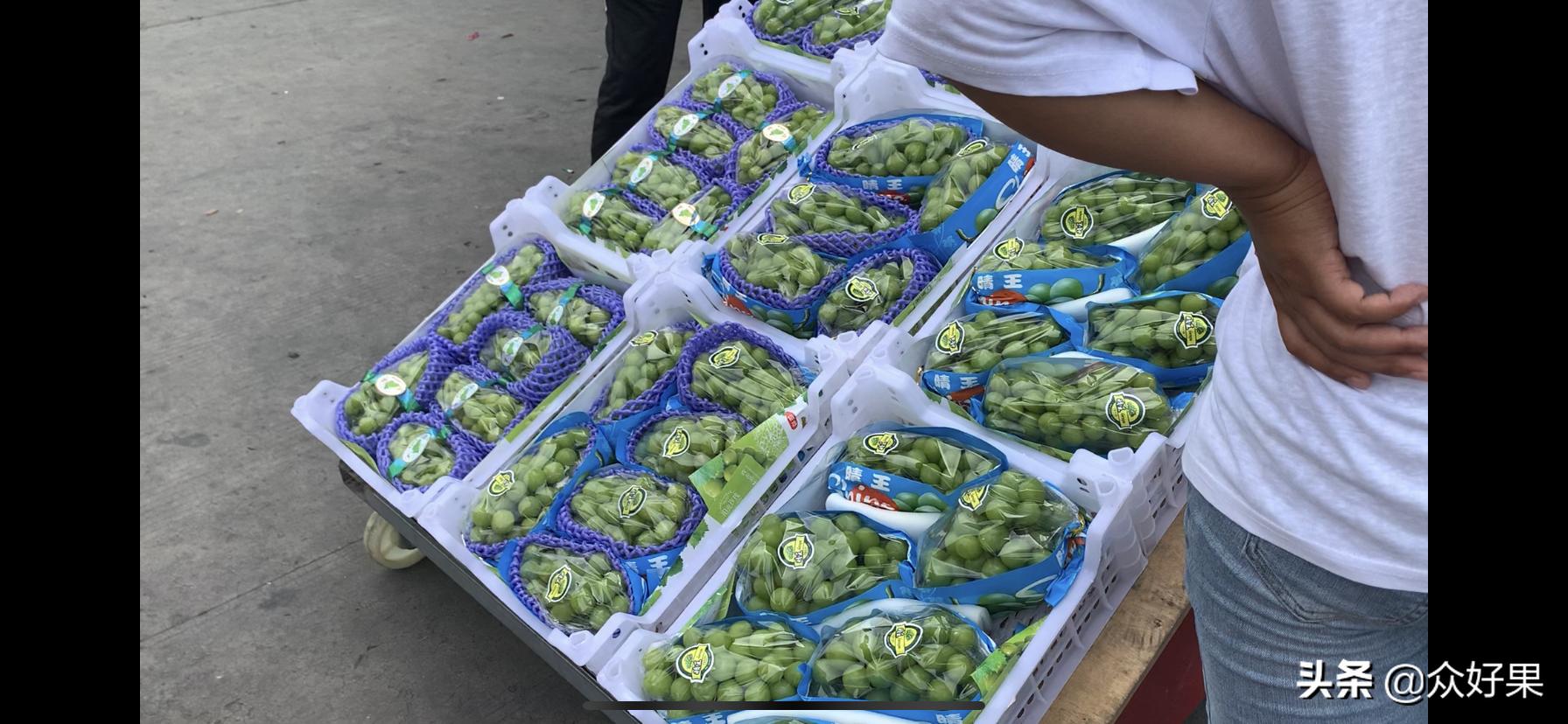 国内精品水果批发市场,万邦水果批发市场今天价格怎么样