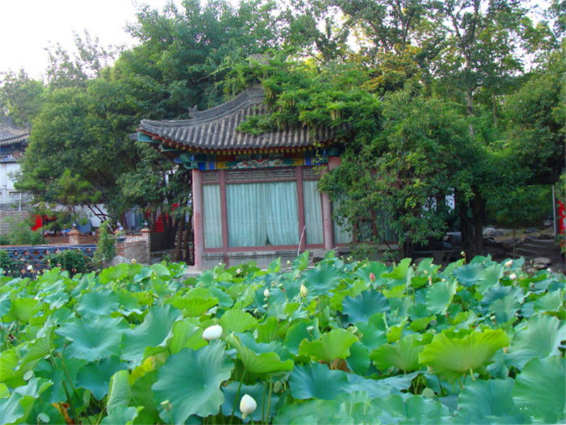 西安莲湖区20个旅游景点,3个是公园,其他17个历史底蕴丰厚