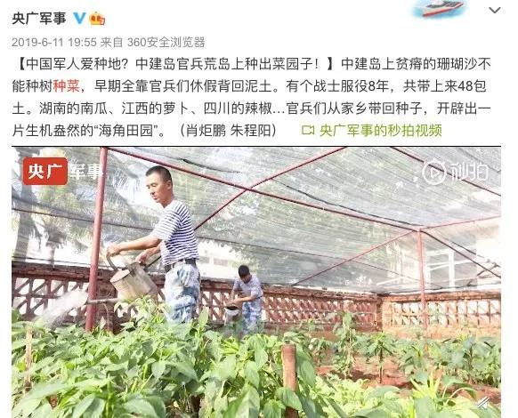 中国的种菜天赋要多离谱,中国种菜天赋惊呆外国人解说