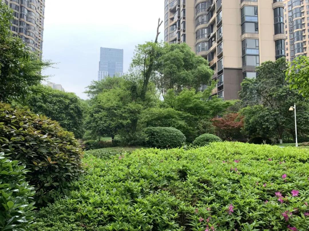 老城中的“奇葩”！这个经典盘的价值有没有被低估？