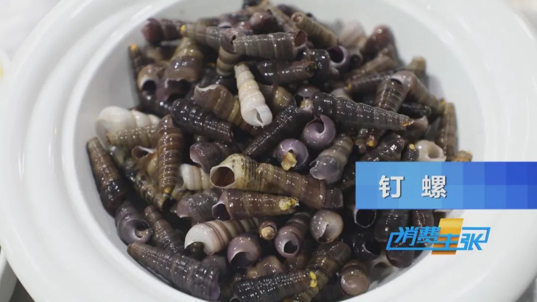 霞浦的海鲜真是便宜又好吃,霞浦真正便宜好吃的海鲜哪里吃