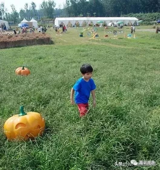 亲子农乐园投资,亲子农乐园经营模式