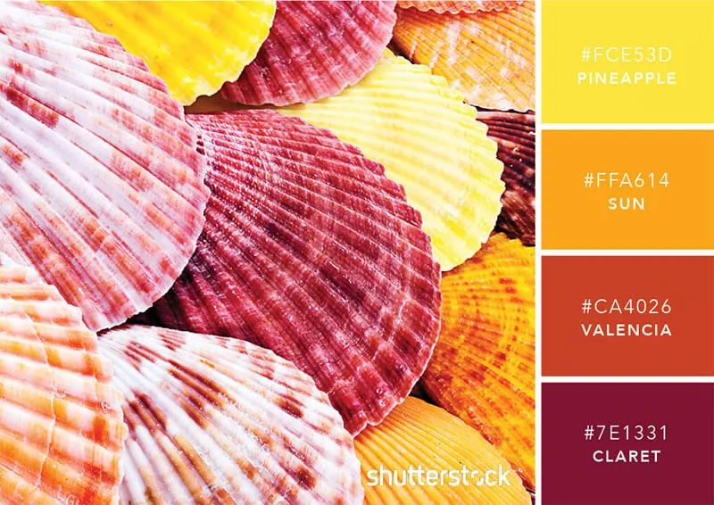 色彩搭配个人形象设计,色彩搭配都是业主亲自选择