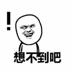 趣谈历史二三事,田湾核电历史