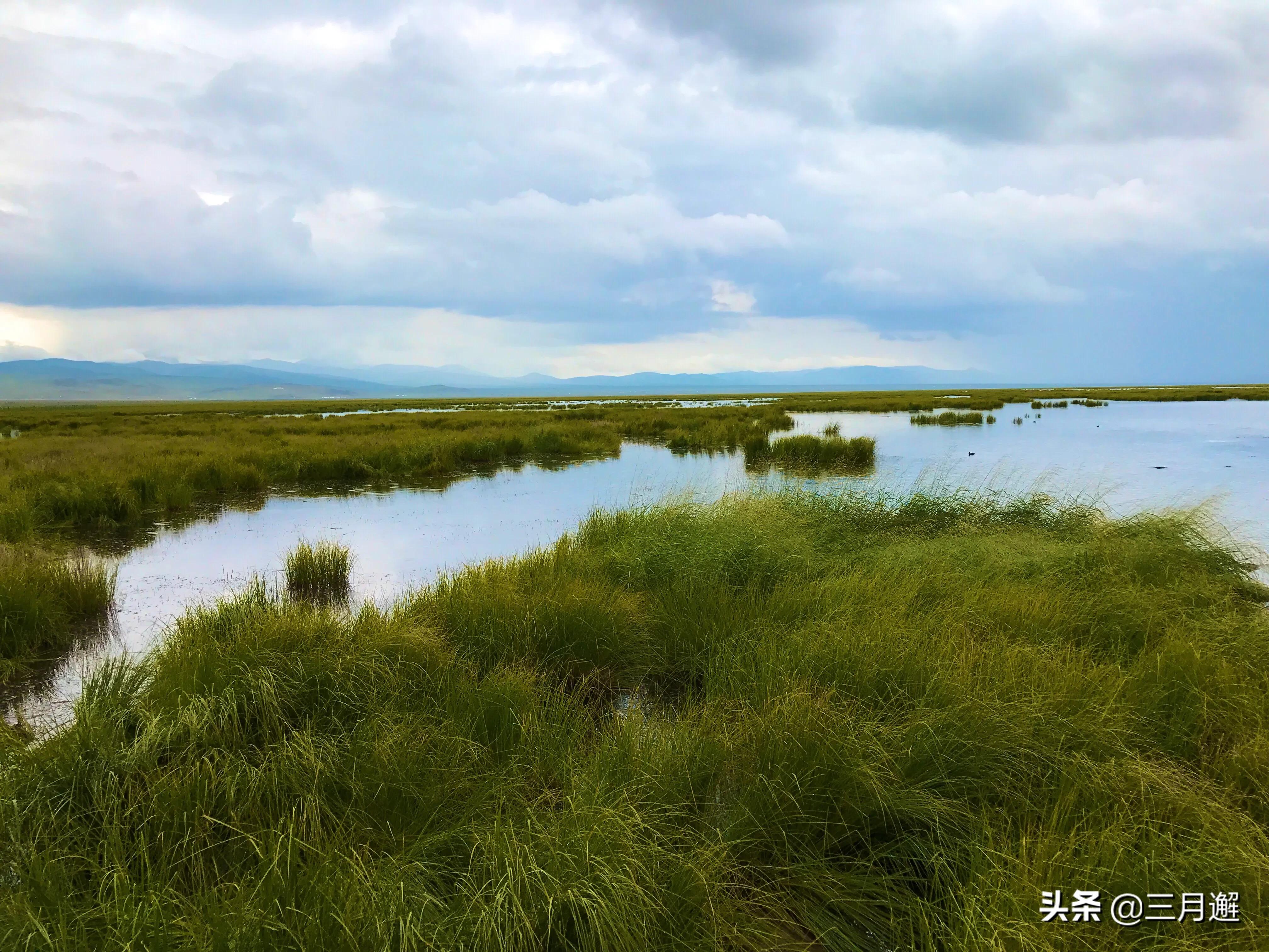 下雨天的若尔盖能去吗,阴雨天的若尔盖花湖
