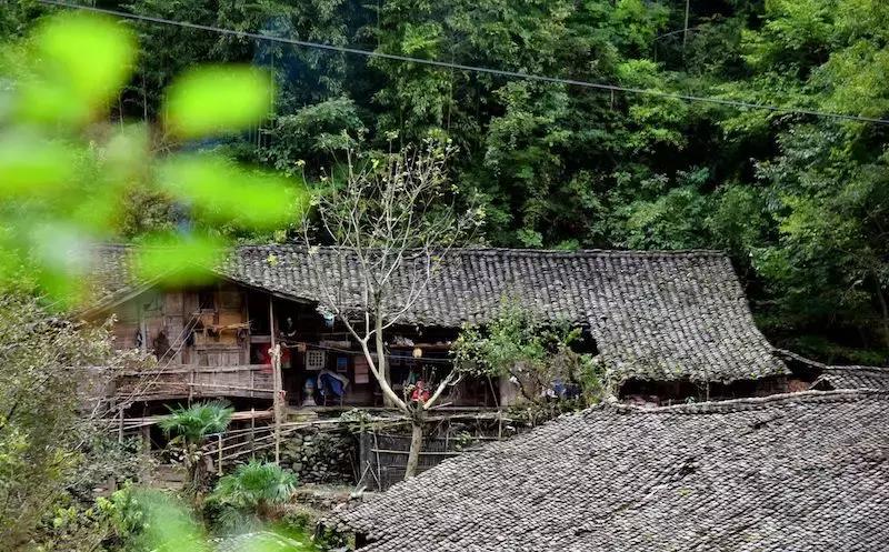 如果有一天累了就回老家到处走走,如果有一天累了就回来吧