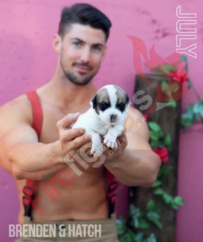 来了来了!他们带着猫猫又来了