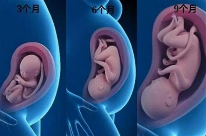 一张图告诉你怀孕哪里疼,怀孕1到10个月对比照