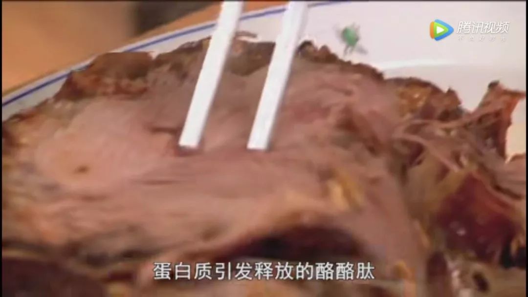 bbc告诉你10种最简单的减肥方法,最科学的减肥纪录片