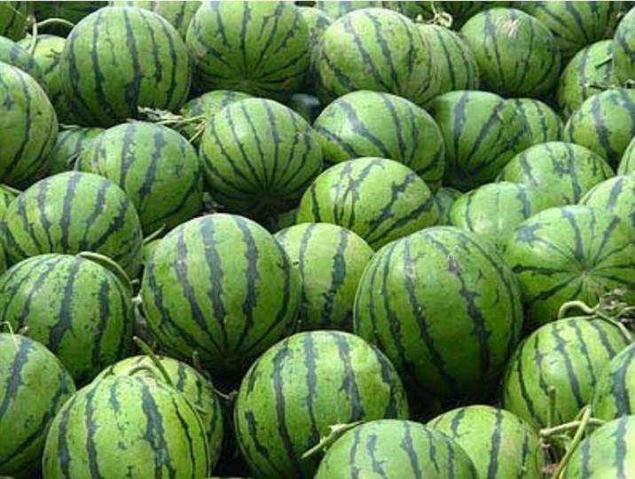 沈阳的特产排名前十名,辽宁沈阳特产什么最出名