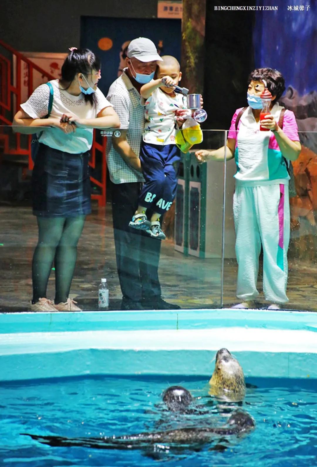 走进哈尔滨完整视频,走进哈尔滨海洋馆