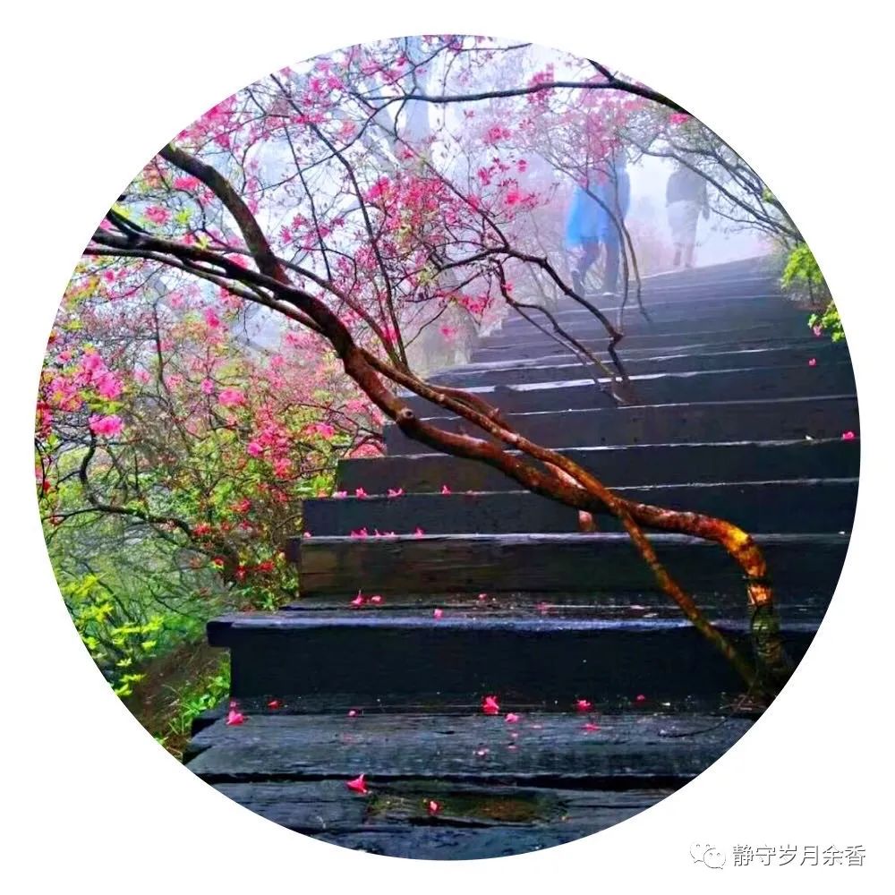 情满龟峰·诗涌花海