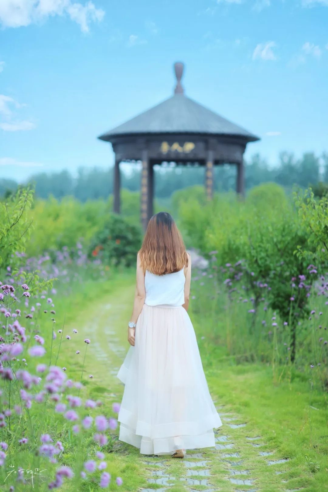 沙家浜旅游民宿有哪些,三月最适合去的最美民宿