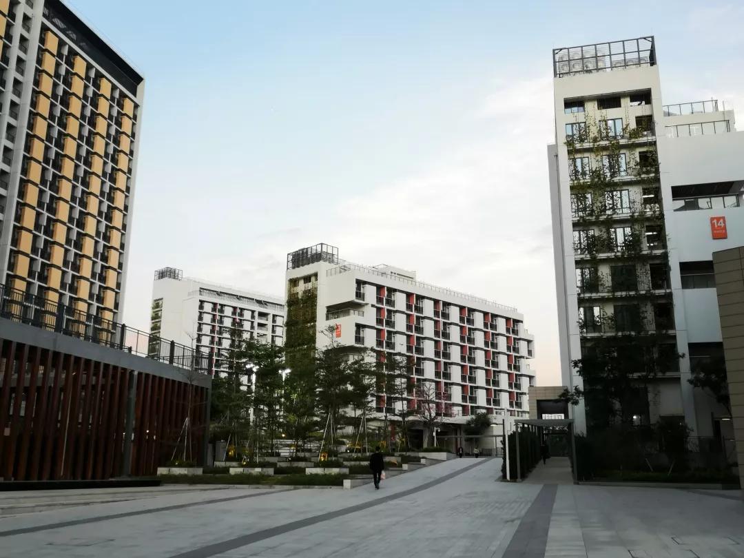 南方科技大学入选双一流了吗,南方科技大学入选双一流