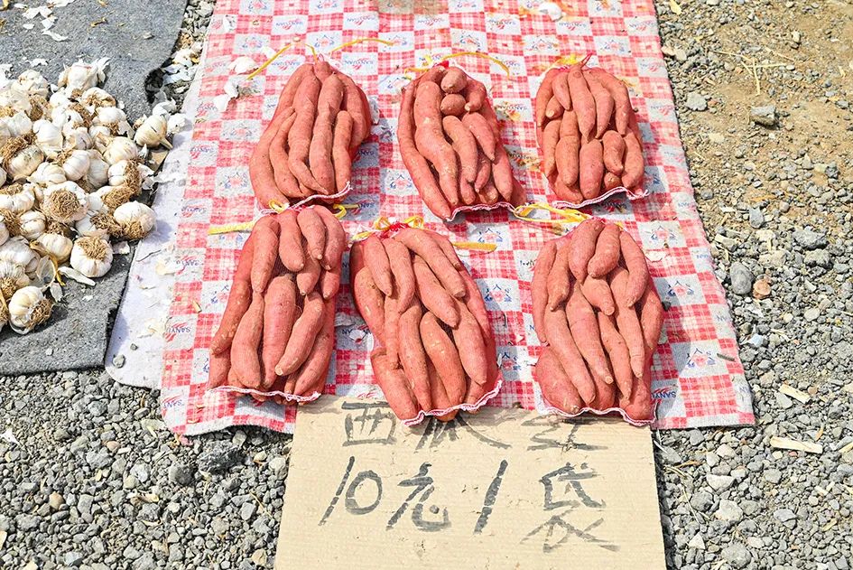 北京京郊大集地理位置,今天京郊哪有大集