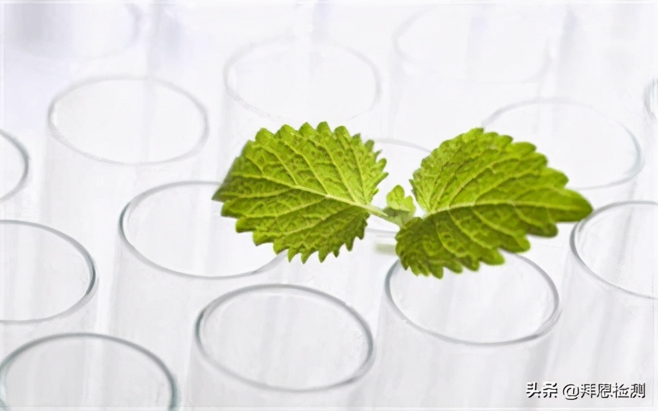 植物提取物质检测,植物提取物研发好还是检测好