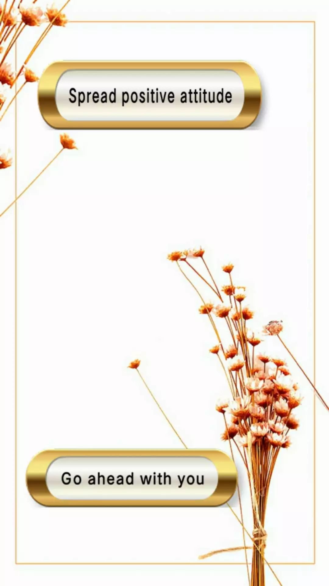 mojito歌曲背后的故事,mojito音乐之声