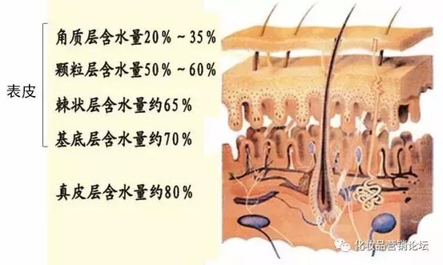 脸上毛孔粗大黑头粉刺多怎么改善,脸上都是黑头粉刺毛孔粗大怎么弄