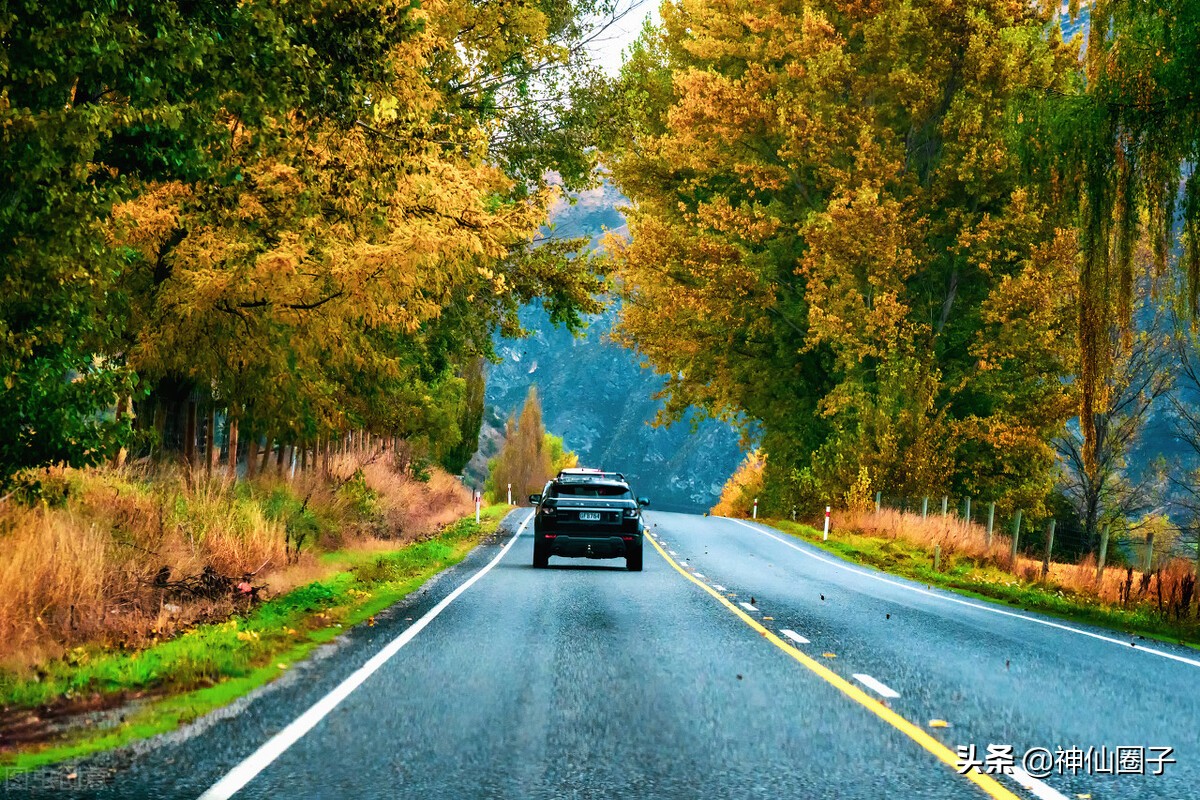神仙圈子怎么样,神仙圈子十倍牛股