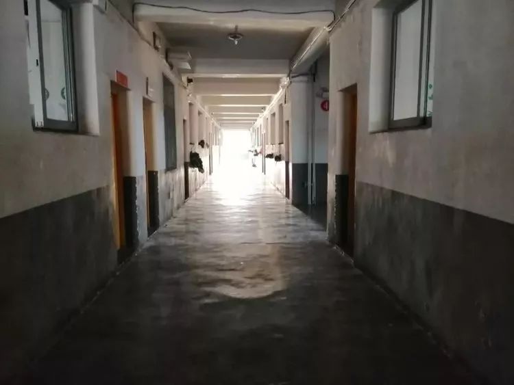 大学生厌世刺死滴滴司机后续,抑郁症大一学生刺死滴滴司机