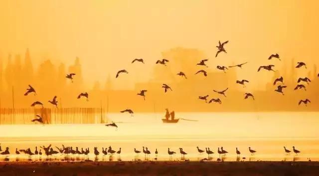 还有哪些描写祖国大好河山的古诗,关于祖国大好河山的古诗词有哪些