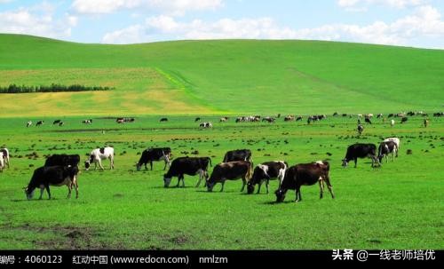 小学数学顺口溜习题运用,初中数学顺口溜让你轻松学数学