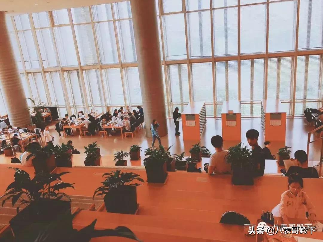 天堂就像图书馆,天堂就是图书馆的模样图片