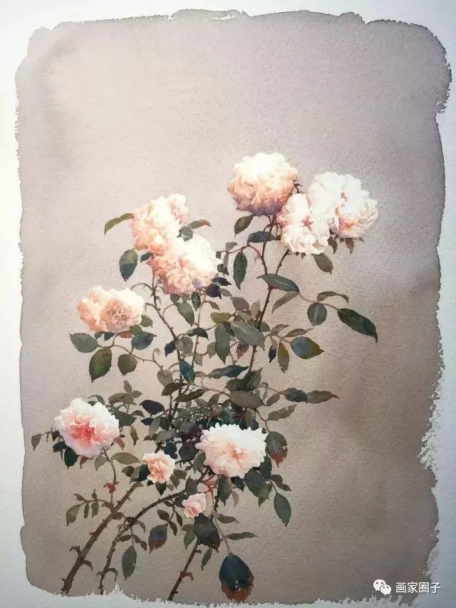 100种漂亮花卉图片,100张漂亮花图