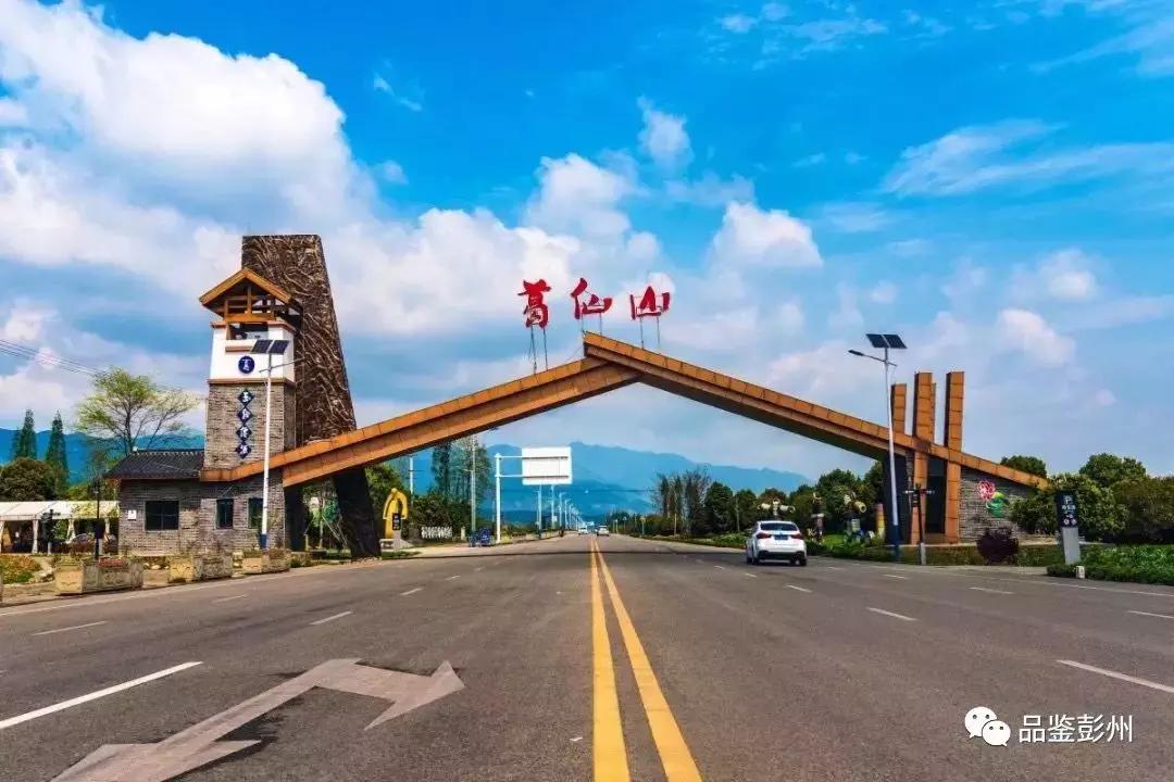 五朵金花组团出战,五朵金花齐聚的时候