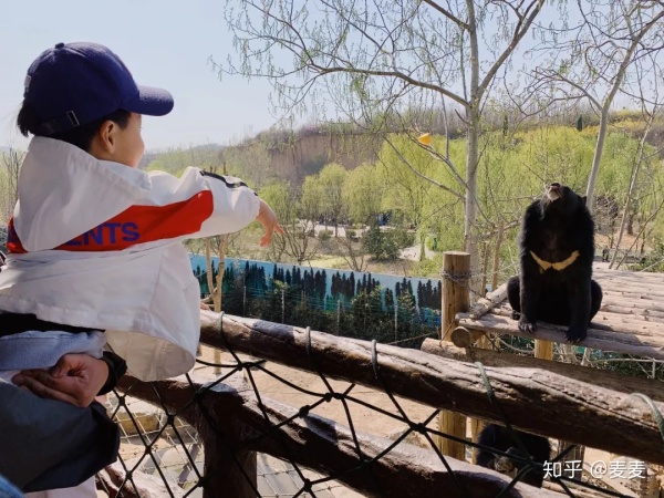 野生动物园长隆游玩攻略,野生动物园长隆攻略图片