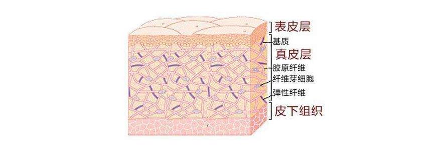 中药治疗放疗的药物有哪些,放疗和中药治疗哪个效果好