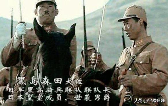 抗日战争日军骑兵的马是哪里的,东洋马从哪里来