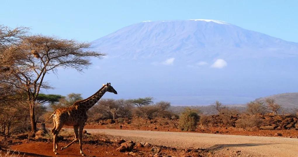 2021年12月去北海入境有何要求,2020年1月各国入境政策汇总