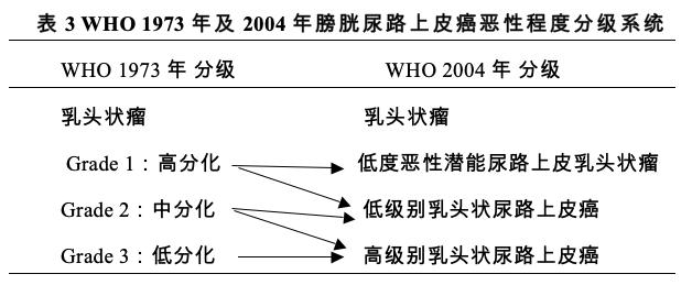 膀胱癌治疗安全共识,94岁老年膀胱癌诊疗经验