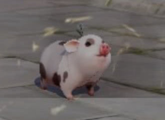 剑网3狂欢夜,剑网3狂欢之夜