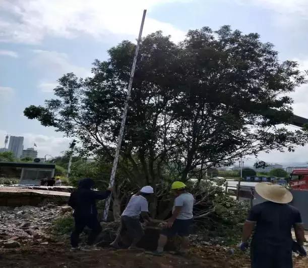 工程验收人员岗位有哪些,工地材料检验员
