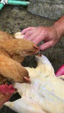 穿恨天高坐地铁的社死现场,两位男士都不忍看这次“崴脚表演”