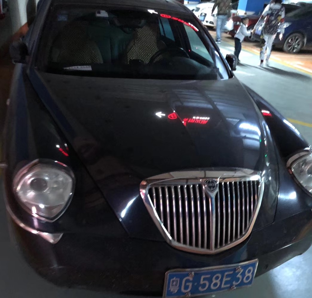 大猩猩蓝旗亚,蓝旗亚大猩猩