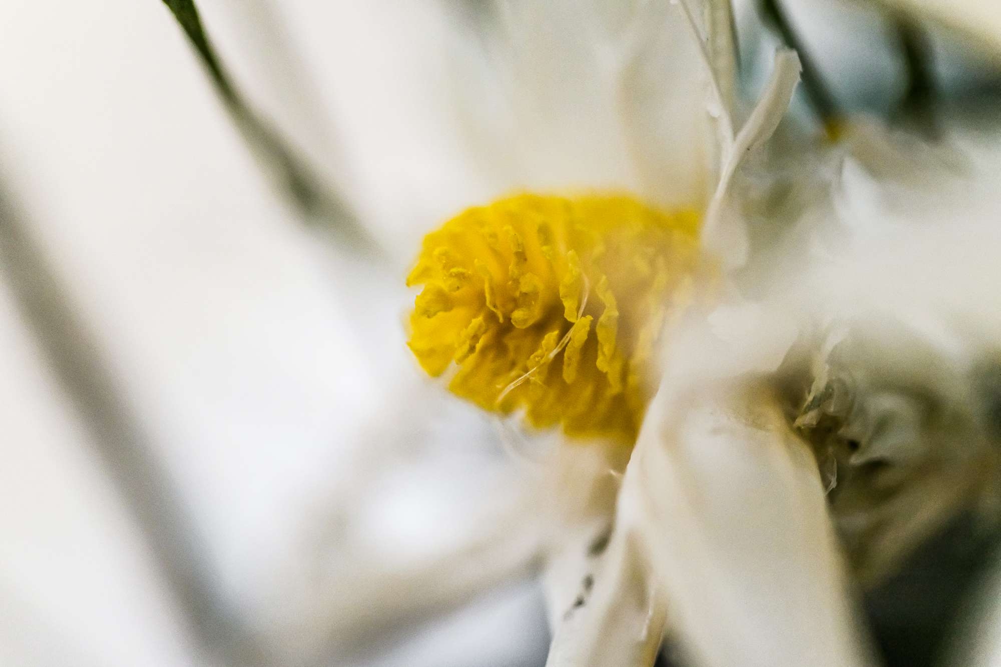 蔡司touit镜头怎么样,蔡司501.4手动镜头评测