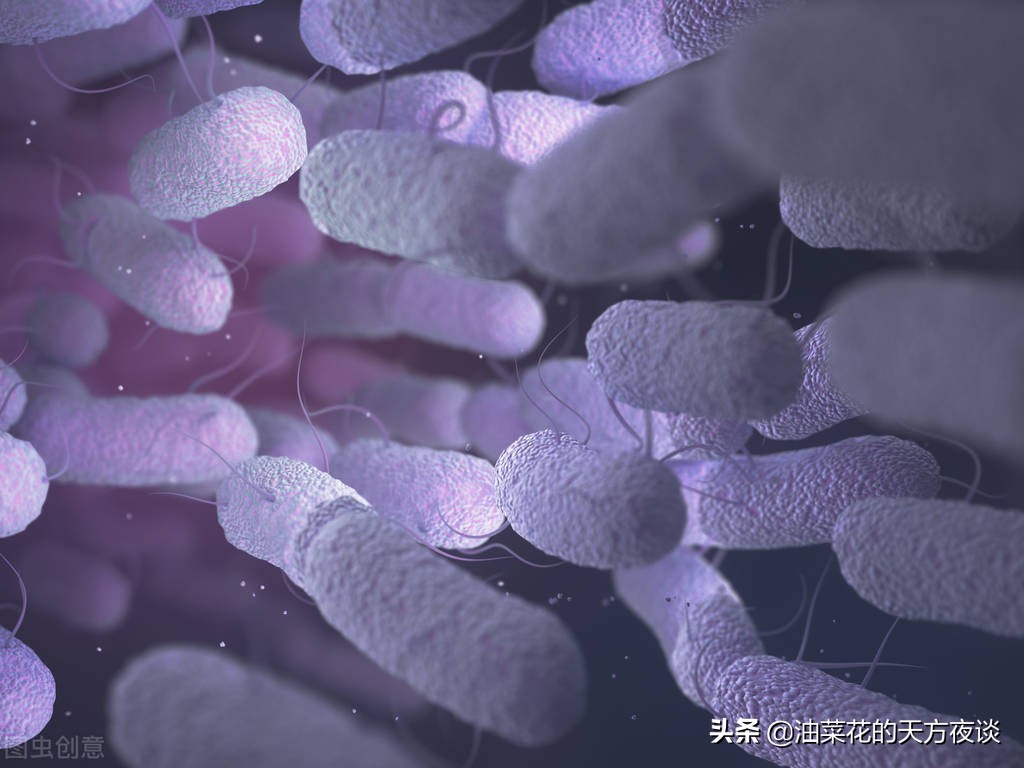 专家解读男性尿路感染,尿路感染科普短文