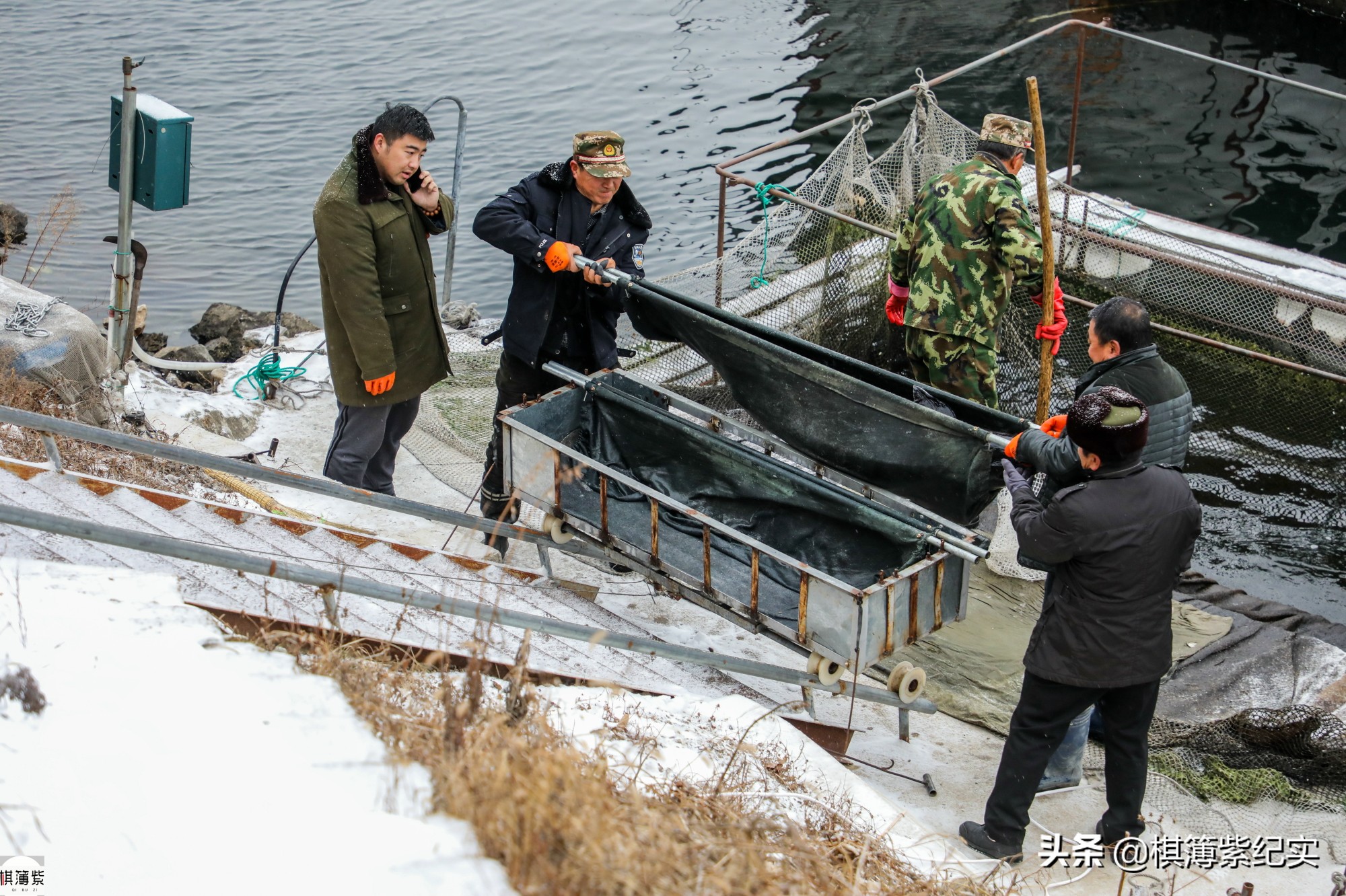 鸭绿江鱼最大多少斤,鸭绿江大金鱼价格