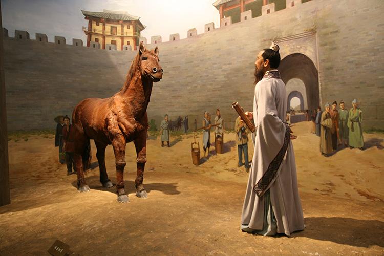 六畜兴旺为什么是指猪呢,猪为什么离不开圈狼能横行天下