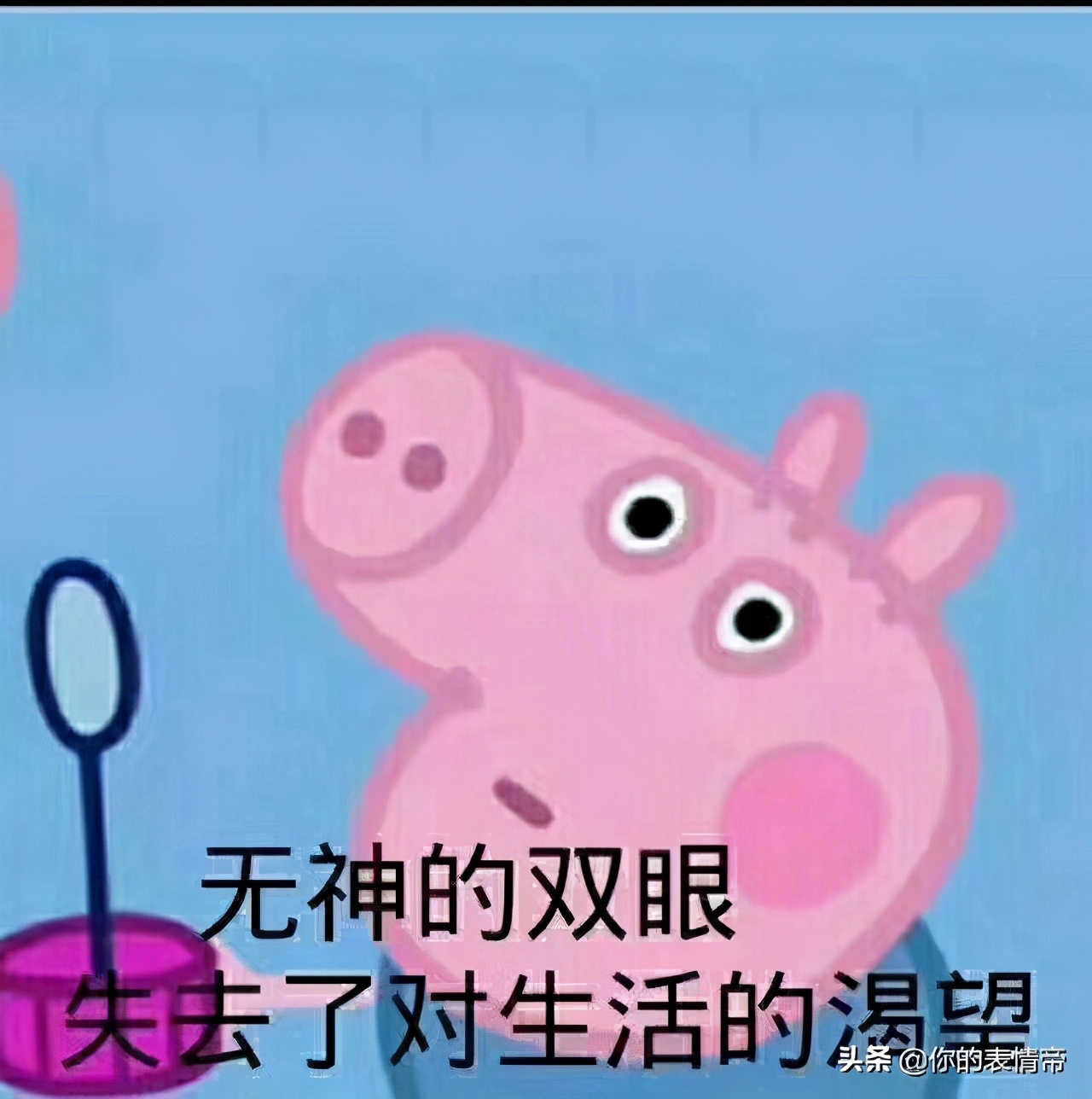 小猪佩奇表情包搞笑沙雕可保存,小猪佩奇的斗图表情包