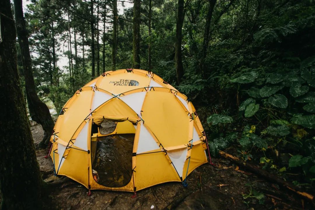 北面商标图侵权,北面真假logo对比