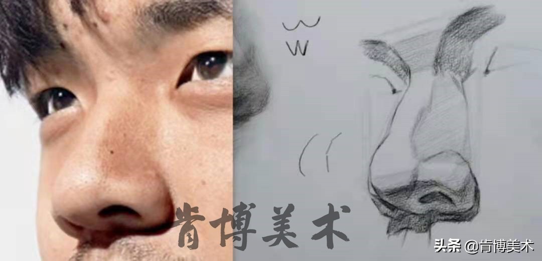 素描入门零基础教程人像鼻子,素描人物头像鼻子详细教程